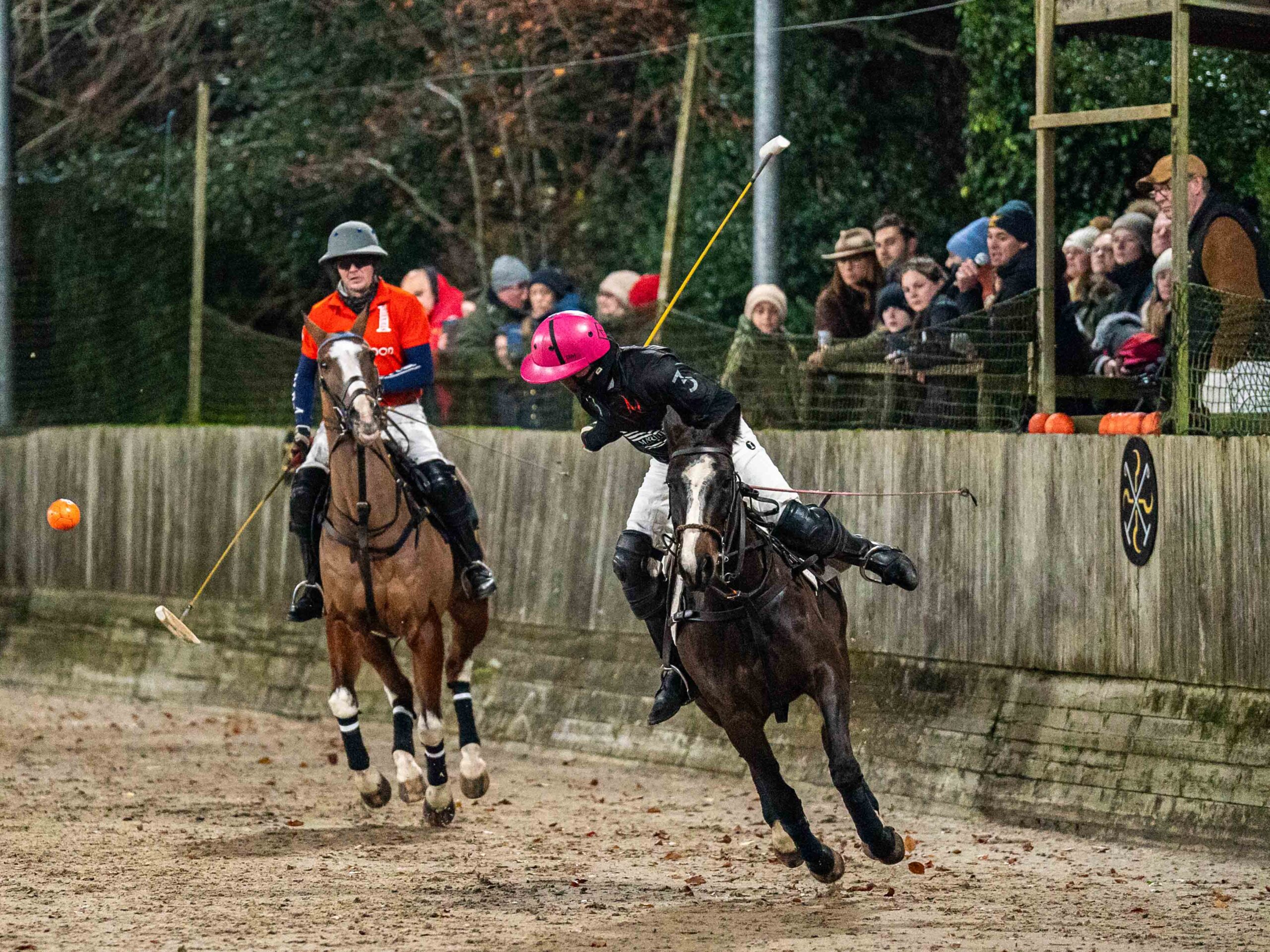Winter polo Winter polo