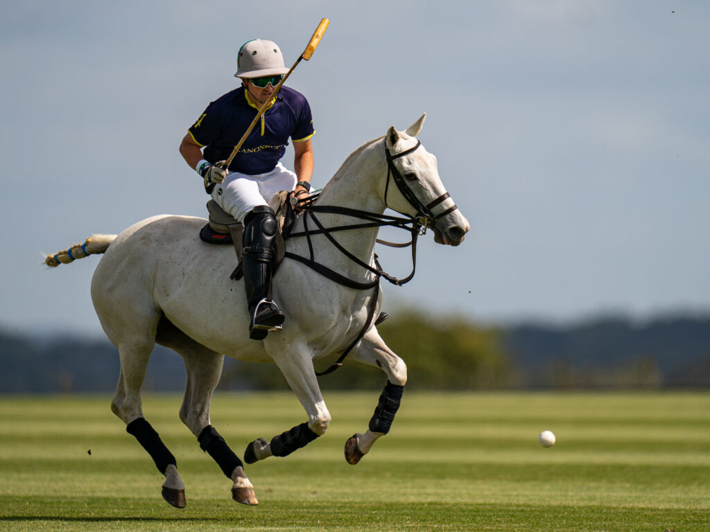 Great polo on a Thursday for guests to watch
